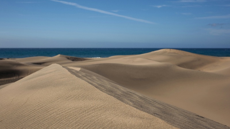 Dunas de Maspalomas: Un desierto dorado frente al mar
