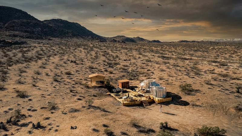 Furiosa: De La Saga Mad Max Reparto