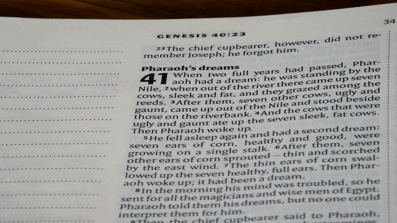 soñar con excremento según la biblia